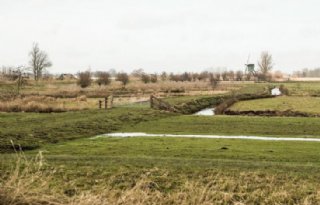 8 miljoen euro voor Utrechtse boeren die investeren in verduurzaming