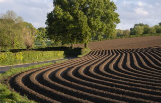 Nederland heeft niet duurste grond, wel hoogste pacht