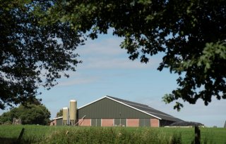 Gelderland trekt 1,76 miljoen euro uit voor stalinnovaties