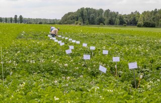 Wiersma lanceert drie nieuwe proeflocaties op weg naar landelijk netwerk