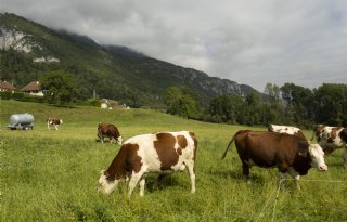 Plannen voor krachtenbundeling van 30.000 Franse boeren