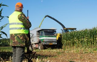 Brandbrief: 'Wildschade in Groningen moet flink verminderen'