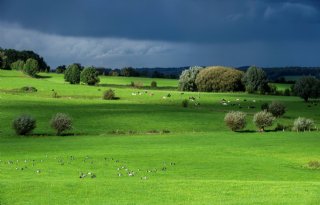 Provincies: 'Geld ontbreekt om doelen te halen'
