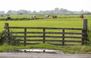 Klimaatbeleid flink onder vuur: 'Kabinet schuift problemen vooral vooruit'