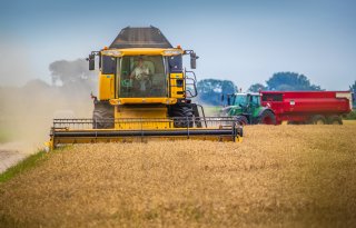 Tarweopbrengsten stagneren door bedrijfsmanagement, niet door klimaat