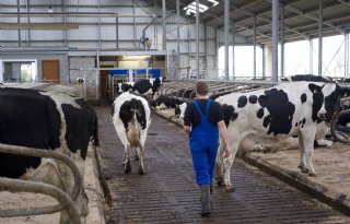 Handelde overheid betrouwbaar richting boeren? Ombudsman stelt onderzoek in