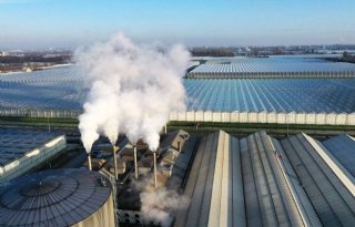 Glastuinders zijn tegen bijmengverplichting voor groen gas