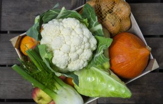 Nieuwe Schijf van Vijf maakt veel los: 'Moralistisch en activistisch'