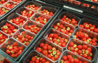 Aardbeien en kropsla scoren door fluopyram hoog op PFAS-lijst