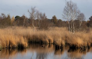 ZLTO vindt dat vaste zones in Noord-Brabant van tafel moeten