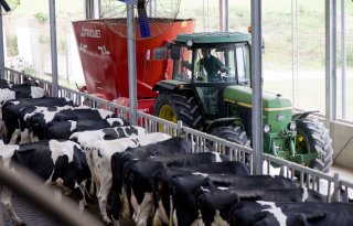 Afzet vochtrijke diervoeders blijft nagenoeg stabiel in 2024