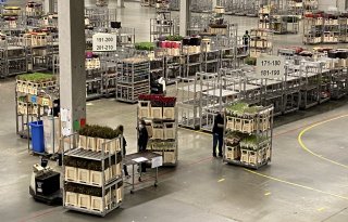 Plantion boekt positief resultaat dankzij omzetstijging van 8,5 procent