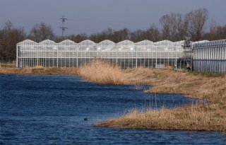 Waterschappen vragen Rijk om meer inzet voor waterdoelen