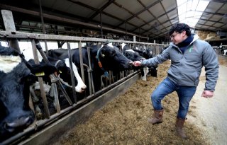 NAJK: gebruik reststromen uit horeca voor veevoer en energieopwekking