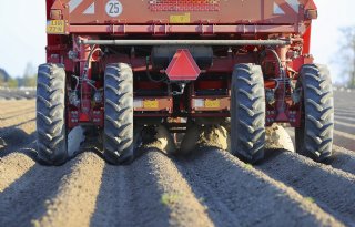 NEPG pleit voor krimp aardappelareaal
