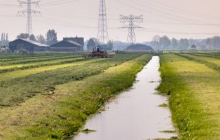 Zuid-Hollandse landbouwsector: stikstofaanpak moet van tafel