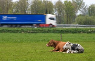 Raad van State fluit minister terug: besluit extern salderen beter motiveren