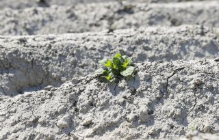 Ook historisch droog in België