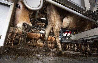 Zuid-Holland heeft bijna half miljard nodig voor landbouw en natuur