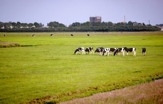 Ruim 387 miljoen euro EU-steun naar Gelderse landbouw sinds 2021