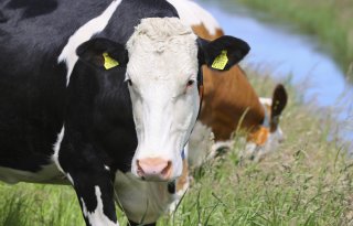 Rotterdam de boer op! lanceert eigen regionaal verduurzamingsfonds