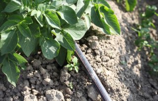 'Boeren anticiperen eerder op effecten klimaatverandering'