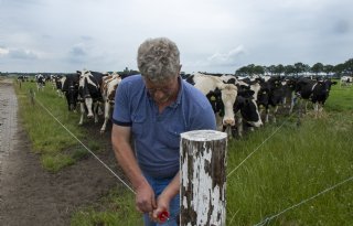 Natuurbeheerplannen vallen slecht bij Drentse en Friese boeren