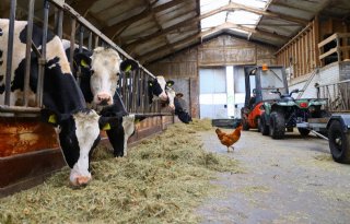 ABN Amro: gebrek aan juridische borging belemmert stikstofreductie