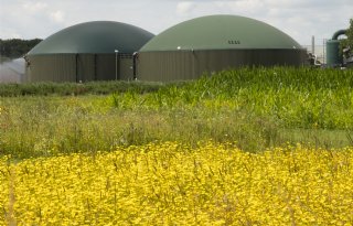 'Biologische verzuring van mest kansrijk, maar niet zonder risico'