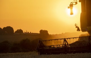 Duitse boeren verwachten gemiddelde graanoogst