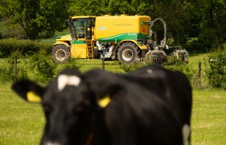 Mineralengehalte in graskuil hard onderuit