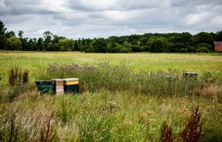 Jonge boeren twijfelen over natuurinclusieve landbouw