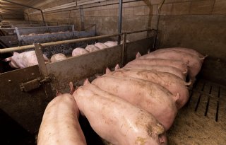 Provincie moet basis onder natuurvergunning veehouder beter onderbouwen