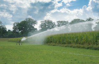 Waterschappen stellen onttrekkingsverbod in voor oppervlaktewater