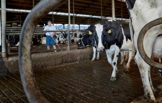 Ministerie moet opnieuw kijken naar subsidieaanvraag Kopros