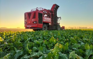 Cosun start bietencampagne op 8 september