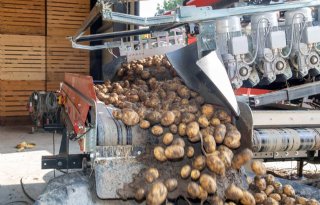 Fritesaardappelprijs stijgt met 5 euro