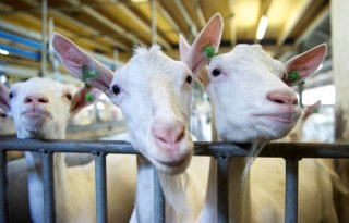 Beëindigingsregeling voor kleinere sectoren open
