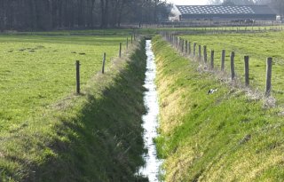 Beregeningsverbod breidt uit in groot deel West-Brabant