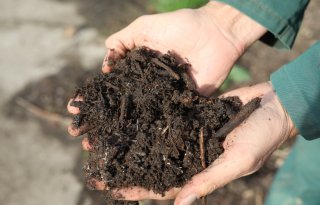 Compost verhoogt weerbaarheid tegen bodemgebonden ziekten