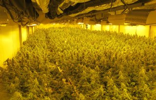 'Stel duidelijk grenzen en herken de signalen van drugsgebruik'