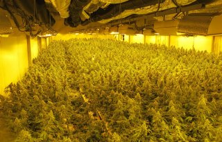 Campagne waarschuwt voor risico's van verdachte huurders