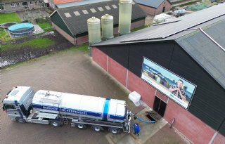 Mestexport stijgt eerste helft van dit jaar significant