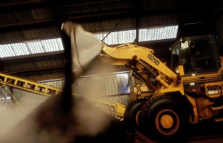 Dikke fractie is heel kansrijk in potgrond