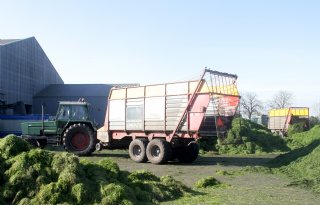 Groenvoederdrogerijen produceren nog iets minder dan vorig jaar