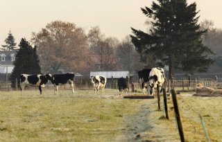 Groen licht Gelderse Staten voor plan zonering rond stikstofgevoelige natuur