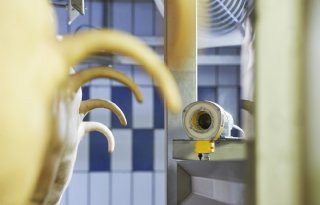 Vion test Tailscan aan slachtlijn: stap richting varkens met lange staarten