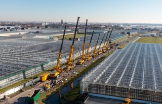 Glastuinbouw helpt gemeenten met behalen energiedoelen