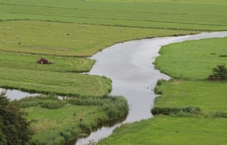 Waterschappen vragen overheid om samenhangend waterbeleid