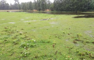 Steun voor Brabantse boeren die watermaatregelen nemen